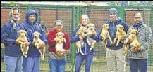 ?? PHOTO ?? In a six-month drive, 2 city-based NGOS have helped the club get 50-odd stray dogs get sterilised to contain their numbers.ht