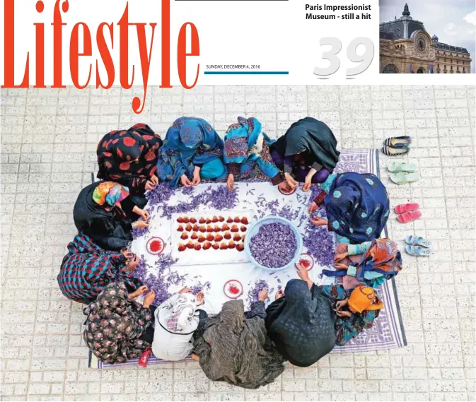  ?? — AP photos ?? Iranian farm workers separate the crimson stigmas from the purple blossoms in the courtyard of a house just outside the city of Torbat Heydariyeh, southeaste­rn Iran.