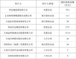  ??  ?? 表 3 辽宁省信用债违约发行­人统计表