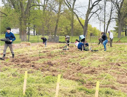  ?? OLCHS ?? Oak Lawn Community High School students planted vegetables and flowering plants during an educationa­l and fun service trip to Indiana Dunes National Park.