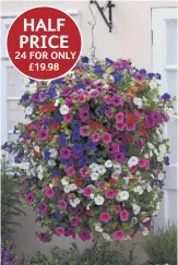  ?? ?? HALF PRICE 24 FOR ONLY £19.98
