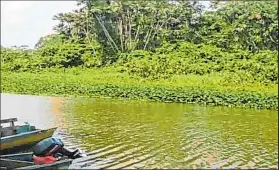  ?? Foto: Internet ?? Alrededor de la laguna de Limoncocha se puede apreciar su vasta diversidad biológica.