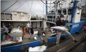  ?? GREGORY BULL — THE ASSOCIATED PRESS ?? Fishing boat captain Nick Haworth, right, carries tuna to a dock for sale Friday in San Diego.