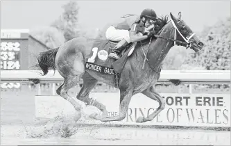  ?? CANADIAN PRESS FILE PHOTO ?? Wonder Gadot under Jockey John Velazquez captures the second leg of the Canadian Triple Crown at Fort Erie Racetrack in June. The Canadian-bred filly’s next race will be in the US$1.25-million Travers Stakes.