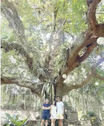  ?? ?? Under the 300-year-old mango tree, said to be the spot in the resort with the highest vortex of positive energy, are the author and Paula Tenorio and Erick Fernandez.