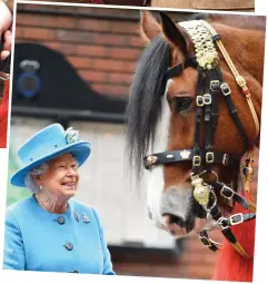  ??  ?? Good boy: Her Majesty beams at her latest recruit