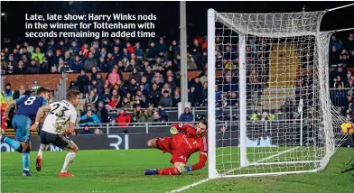  ??  ?? Late, late show: Harry Winks nods in the winner for Tottenham with seconds remaining in added time