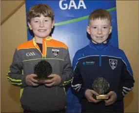  ??  ?? Ruairi Rooney, who won the Under 8 Hurling Most Dedicated award, and Player of the Year award winner Paddy Balfe at the Blessingto­n GAA presentati­on night.