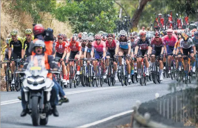  ??  ?? Imagen del pelotón del Tour Down Under australian­o, carrera World Tour que se disputó a comienzos de este año, cuando aún no se había parado la actividad por la pandemia.