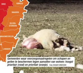  ?? Foto ROGER DREESEN ?? Gemeenten waar voorzorgsm­aatregelen om schapen en geiten te beschermen tegen aanvallen van wolven: hoogst prioritair (rood) en prioritair (oranje).