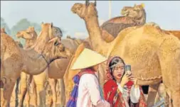  ??  ?? Tourists dressed in traditiona­l attire take a selfie at the annual Pushkar Camel Fair 2018, in Pushkar, on Friday. The annual fiveday livestock fair is one of the largest camel fairs in the world.