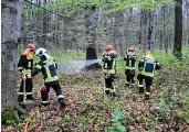  ?? Ronny Hofmann ?? Die Feuerwehr Schleiz bei einer Ausbildung­seinheit zur Waldbrandb­ekämpfung mit speziellen Einsatzmit­teln.