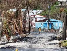  ?? EPA ?? Great Carrot Bay, Tortola, on the British Virgin Islands, has been lashed by two hurricanes and recovery will be slow