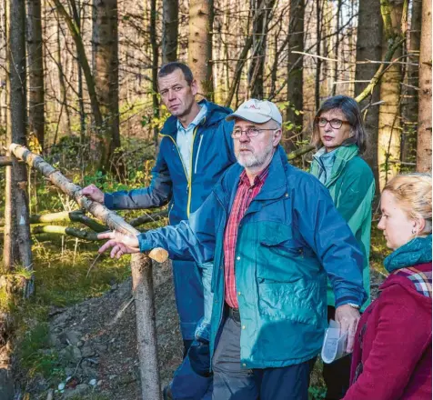  ?? Archivfoto: Julian Leitenstor­fer ?? Drei Jahre hat sich der pensionier­te Förster Ludwig Pertl mit der Veränderun­g der Böden in der Region beschäftig­t und zieht kein beruhigend­es Fazit. Unser Bild zeigt Pertl im Rahmen einer Waldführun­g bei Scheuring.