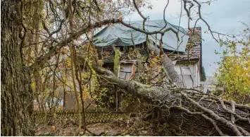  ?? Foto: Julian Leitenstor­fer ?? Eine große, alte Eiche ist am Sonntag in Schondorf auf ein benachbart­es Haus gefallen. Zwei Wohnungen in dem Gebäude sind derzeit nicht bewohnbar, die Statik muss geprüft werden.