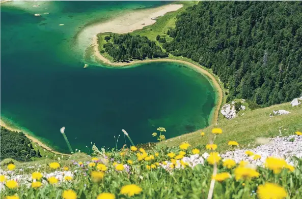  ?? FOTOS: LAAGE/TMN ?? Bergwiese mit Blumen und Trnovacko-See im Tal – ein vorzüglich­es Panorama.