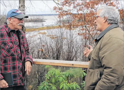  ?? CAROLE MORRIS-UNDERHILL ?? Bill Preston and Tom Thompson discuss the altered Halfway River in Hantsport from the deck of Thompson’s homestead. With the aboiteau no longer preventing saltwater from crossing into the river, the freshwater habitat has been destroyed and trees are dying, which is causing the riverbank to erode.