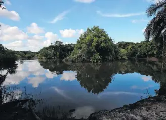  ?? WILTON JUNIOR / ESTADÃO – 13/2/2020 ?? Flexibiliz­ação. Área de manguezal na região da Costa do Sauipe na Bahia seria afetada