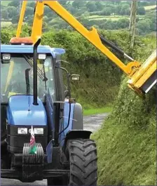  ??  ?? Teagasc promotes best practice in cutting hedgerows.