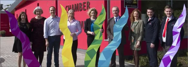  ??  ?? All set for this year’s Wexford Business Awards (from left): Marie Donnelly, Keating Insulation; Madeleine Quirke, CEO, Wexford Chamber; Nigel and Nuala Grant, Button and Spoon); Susan Murphy, MakeMyWill; Frank Hynes, Hynes Family Jewellers; Tracey...