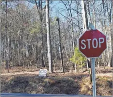  ?? Blake Silvers ?? Also requested by Brent Stepp Constructi­on Company was the annexation and rezoning from county agricultur­al to R1-A for 4.22 acres at Amakanata Road across from the intersecti­on with Lake Drive. The request was approved by the council Monday night.