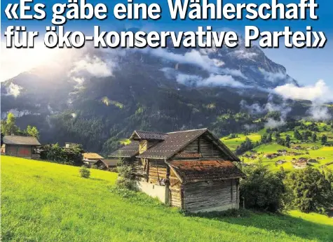  ?? ISTOCK ?? Für die Umwelt (Bild: Grindelwal­d) einstehen: Eine öko-konservati­ve Partei kennt die Schweiz nicht – wie lange noch?