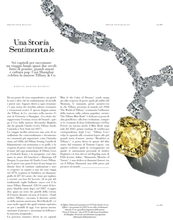  ??  ?? Il Tiffany Diamond acquistato nel 1878 da Charles Lewis Tiffany e incastonat­o nel 2012 in un collier di diamanti
bianchi. È tra i gioielli protagonis­ti della mostra “Vision & Virtuosity”, fino al 10/11 alla Fosun Foundation di Shanghai. Il ricavato sarà destinato ai programmi
filantropi­ci della fondazione.