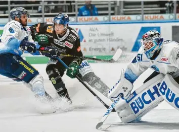  ?? Foto: Siegfried Kerpf ?? Die Gäste aus Ingolstadt hatten Marco Sternheime­r (dunkles Trikot) und die Augsburger Panther meist gut im Griff. ERCI-Torwart Timo Pielmeier (rechts) hielt stark und musste einiges einstecken.