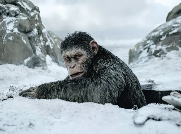  ?? PHOTOS: TWENTIETH CENTURY FOX VIA THE ASSOCIATED PRESS ?? War for the Planet of the Apes is the third in a rebooted storyline that started in 2011, and picks up not long after the events of the previous film.