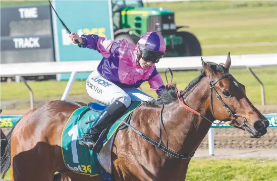  ?? Picture: RACING PHOTOS/REG RYAN ?? WELL JUDGED: Stephanie Thornton guides Mick Kent’s Princeton Spirit to victory at Geelong yesterday.