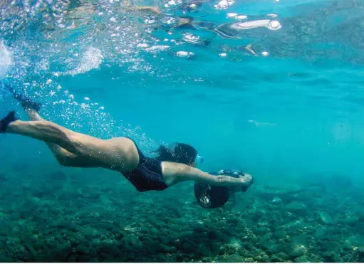  ??  ?? Enquanto o bom tempo se mantiver é comum ver várias famílias juntarem-se no ihéu de Vila Franca para praticar snorkeling.