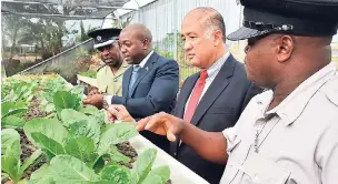  ?? CONTRIBUTE­D ?? Minister of State in the Ministry of National Security, Senator Pearnel Charles Jr (second left), examines crops being grown under the Tamarind Farm Greenhouse Project. The occasion was the official handing over of the project, sponsored by Carib...