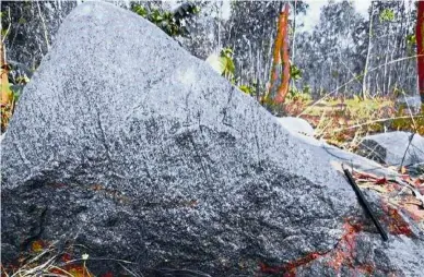  ??  ?? The Granite Gneiss rock near Champua in Odisha, India, that contains a grain of 4,240-millionyea­r-old zircon.