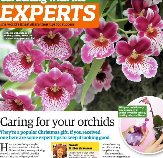  ??  ?? Miltonia orchids look a bit like pansies, hence the common name pansy orchid Sarah Rittershau­sen The third generation to run her family’s orchid nursery, Burnham Nurseries, in Devon. Sarah has won many Gold medals at Chelsea and is a Royal...