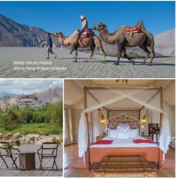  ??  ?? Balade à dos de chameau dans le champ de dunes de Hunder. Le Chamba Camp donne sur le monastère de Thiksey. Dans les chambres, parquet ciré et malle voyageur.