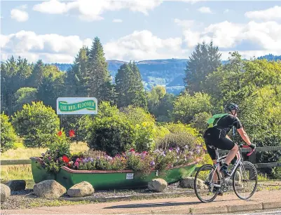  ?? Picture: Steve MacDougall. ?? Bridge of Earn’s ‘Brig Bloomer’ brightens up the entrance to the village.