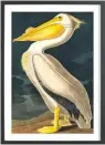  ??  ?? a vintage print adds a nostalgic feel. american White Pelican, from £5.95, Juniqe Buy now with Ownable