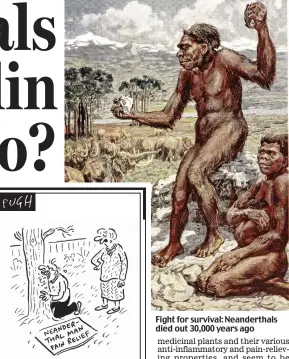  ??  ?? ‘I still think you’d be better off taking an aspirin’ Fight for survival: Neandertha­ls died out 30,000 years ago