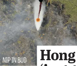  ?? Picture: Reuters ?? A helicopter from Indonesia’s disaster management team dumps water on a burning peatland forest near Palangka Raya.