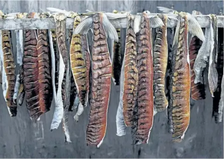  ?? JASON FRANSON/THE CANADIAN PRESS ?? Arctic Char hangs drying in the sun in Gjoa Haven, Nunavut on Saturday. Inuit leaders and hunters are angry over European plans to launch a satellite that would drop a rocket stage likely to contain highly toxic fuel in some of the most ecological­ly...