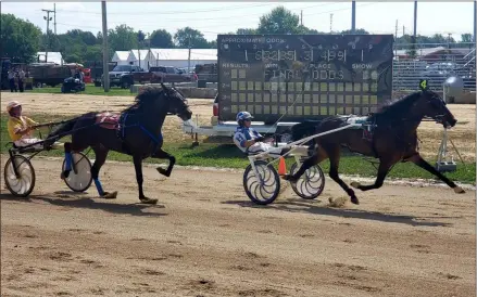  ?? KEITH REYNOLDS — THE MORNING JOURNAL ?? Horses jockey for first Aug. 20 at the of Home Talents Colt Stakes Harness Racing at the grandstand at the Lorain County Fair, 23000 Fairground­s Road in Wellington.