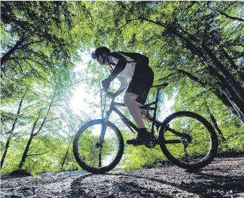  ?? FOTO: DPA ?? Auch viele Mountainbi­ker nutzen die Wälder Baden-Württember­gs.