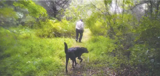  ?? PHOTOS: MICHAEL S. WILLIAMSON/FOR THE WASHINGTON POST ?? Drew Miller walks the grounds of Fortitude Ranch, within the George Washington National Forest, with a guard dog.