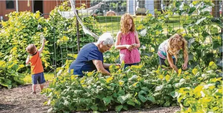  ?? Getty Images ?? The sights and smells of a garden can live on for a lifetime.