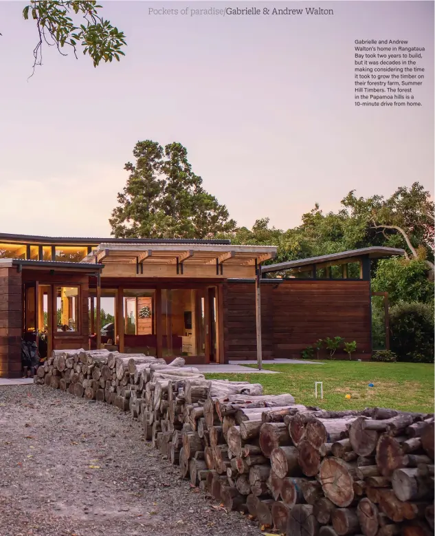  ??  ?? Gabrielle and Andrew Walton’s home in Rangataua Bay took two years to build, but it was decades in the making considerin­g the time it took to grow the timber on their forestry farm, Summer Hill Timbers. The forest in the Papamoa hills is a 10-minute drive from home.