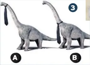  ??  ?? 3 Here’s a debate to help pass a few hours during lockdown – A or B?