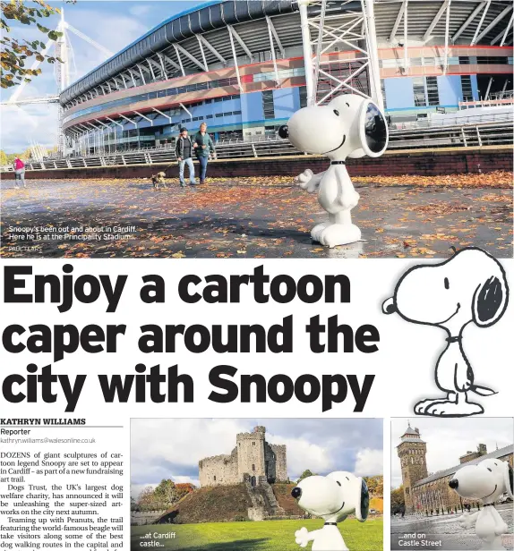  ??  ?? Snoopy’s been out and about in Cardiff. Here he is at the Principali­ty Stadium... ...at Cardiff castle... ...and on Castle Street