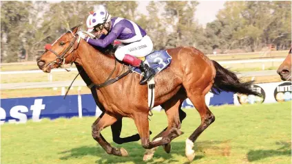  ??  ?? THIRD RUN. Hidden Agenda will be having his third run back from a layoff and looks to be a good value bet in Race 4 at the Vaal tomorrow.