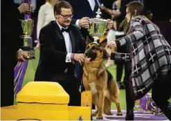  ?? — AFP photos ?? Rumor the German Shepherd and handler Kent Boyles pose for photos after winning Best In Show at the Westminste­r Kennel Club Dog Show at Madison Square Garden in New York City.