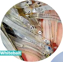  ??  ?? Whitebait